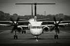 SP-EQE