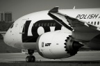 SP-LRB