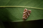 IMG_2536.JPG