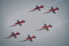 F-5E Patrouille Suisse (Swiss AF)