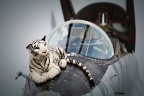 Mig-29 (Slovak Air Force)