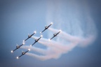 Aero L-39 Albatros (Baltic Bees)