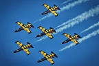 Aero L-39 Albatros (Baltic Bees)