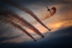 Aero L-39 Albatros (Baltic Bees)