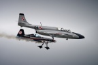 XtremeAir XA-41 Sbach 300 + TS-11 Iskra