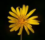 img_6399.jpg