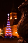 img_6920.jpg