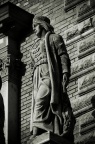 Corvinus University
