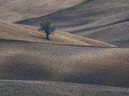 3X5A6026