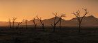 Namib-Naukluft National Park