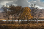 Rannoch Moor