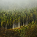 Highlands