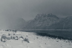 Grunnfarnes