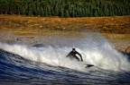 Surfing in Unstad