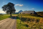 Viking Museum, Borg