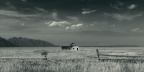 3X5A5575bw