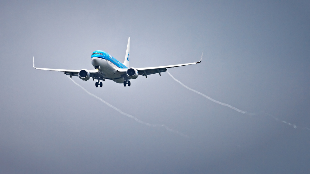 PH-BCA_01.JPG