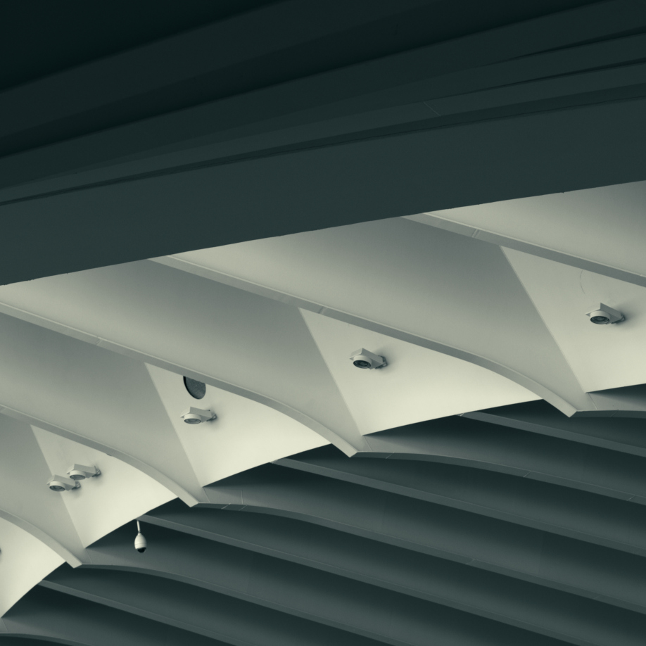 3X5A2049sq.JPG